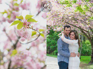 Cherry Blossom Engagement Photo Mississauga Ontario