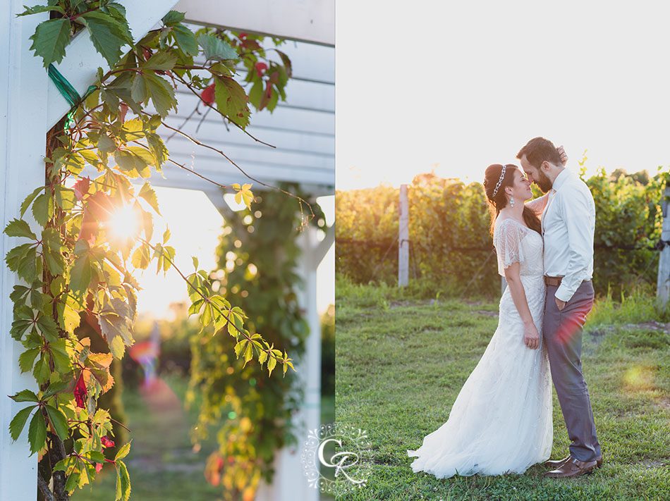 Prince-Edward-County-Wellington-Casa Dea Winery-Wedding-Photographer-18